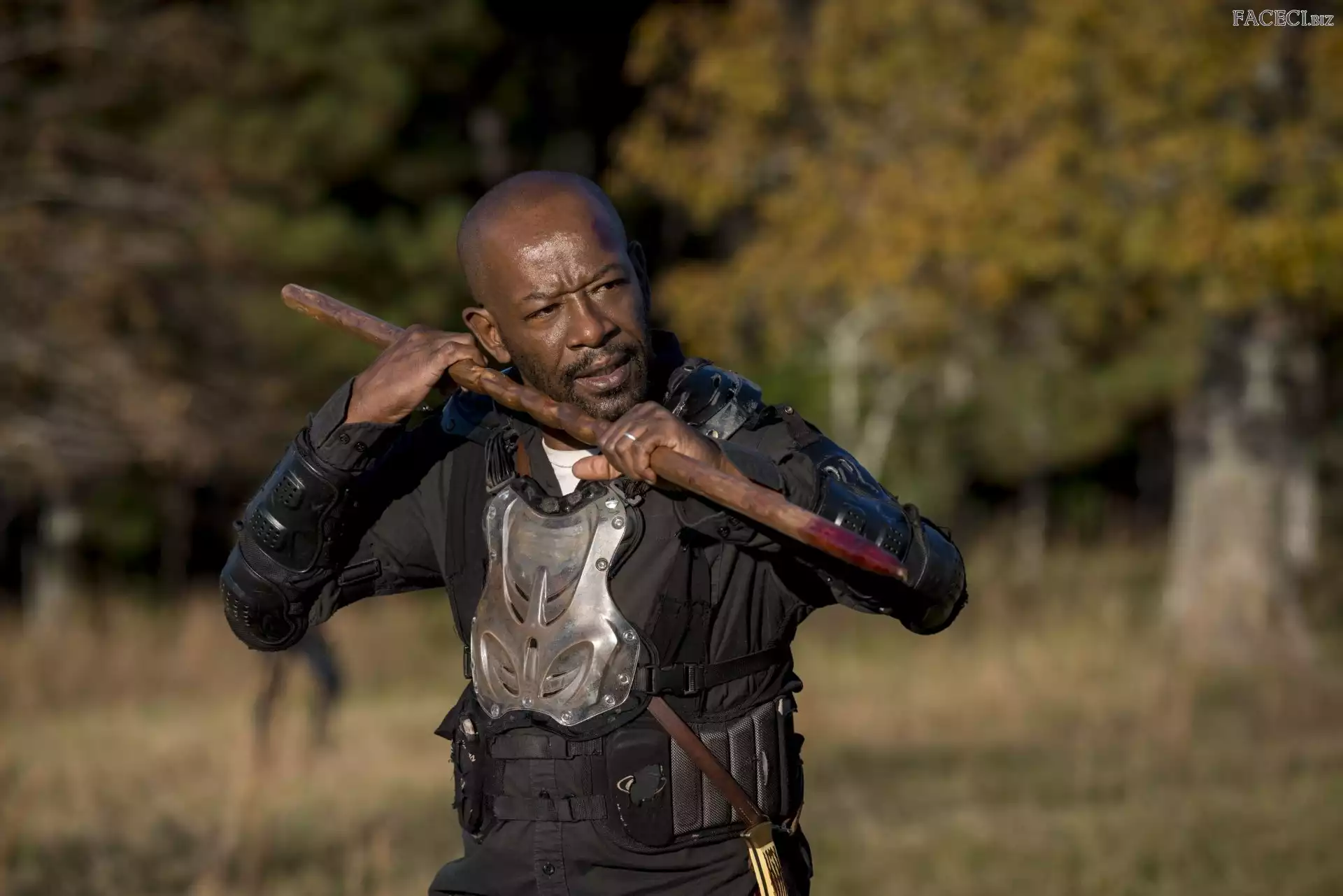Lennie James, Aktor, The Walking Dead, Serial, Postać - Morgan Jones